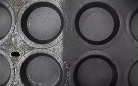 Moulds in food industry