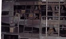 Paper production line cleaning