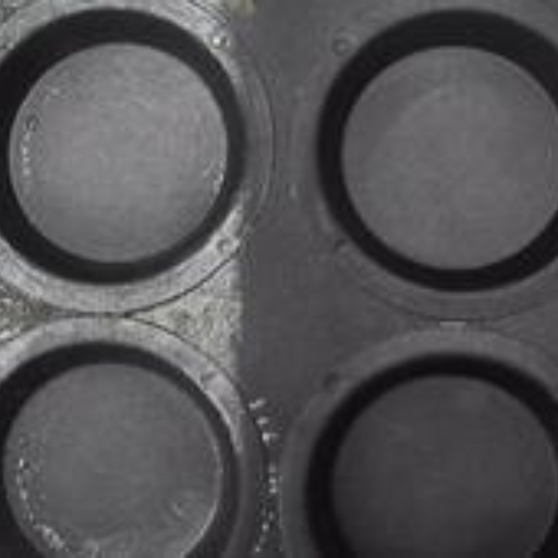 Moulds in food industry